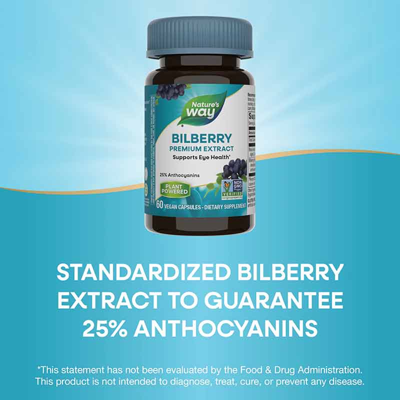 Bilberry Standardized, 90 Veg Capsules, NWA