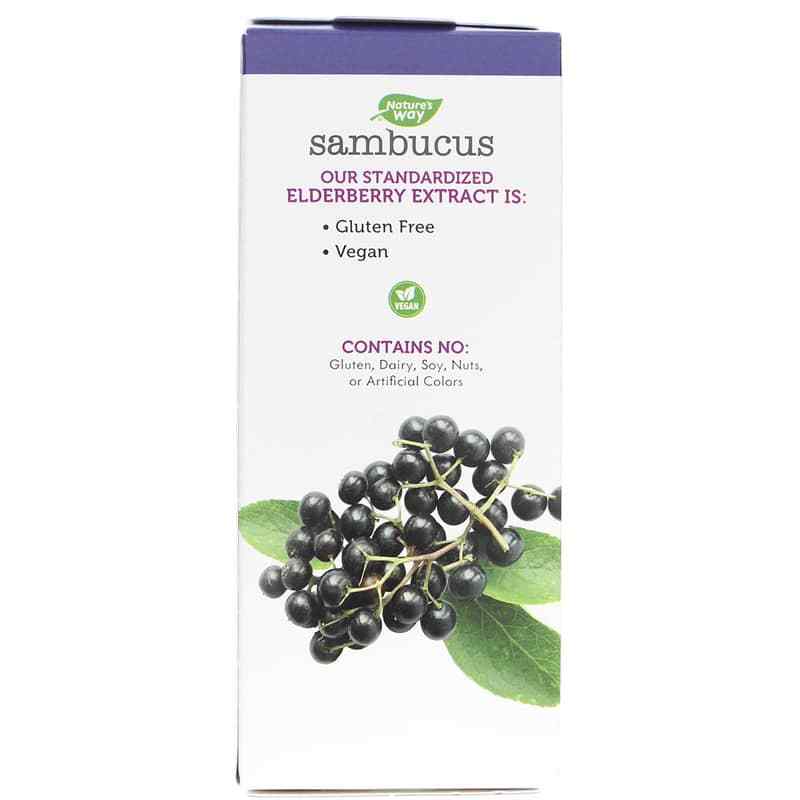 Sambucus Elderberry NightTime Syrup, 4 Oz, NWA